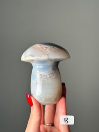 Image 2 of LARGE BANDED AGATE MUSHROOMS