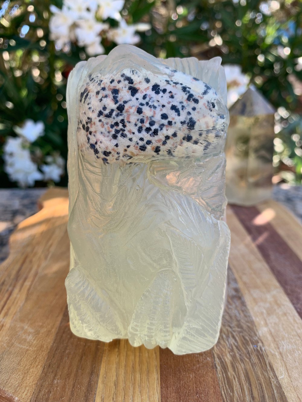 Image of T-Rex Divine Masculine Aura Cleanse Soap Bar 