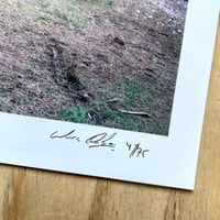 Image 9 of Mark Wilson - The Last Stand (Signed 1st w/signed print)