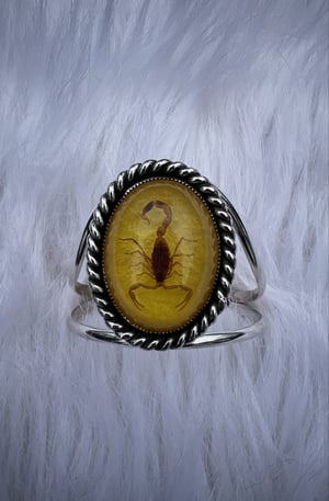 Image of Golden Scorpion Cuff