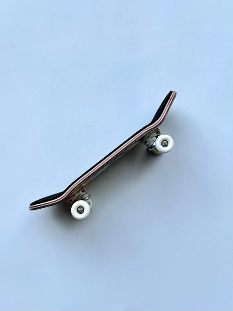 Image of Venus Flytrap complete