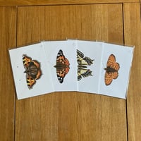 Image 1 of Butterfly Print #2 - Various Designs