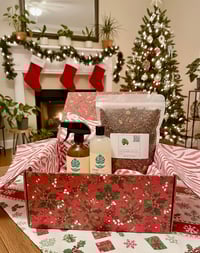 Image 1 of Holiday Plant Care Set