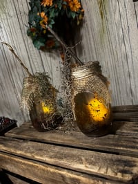 Image 2 of Swamp Jars