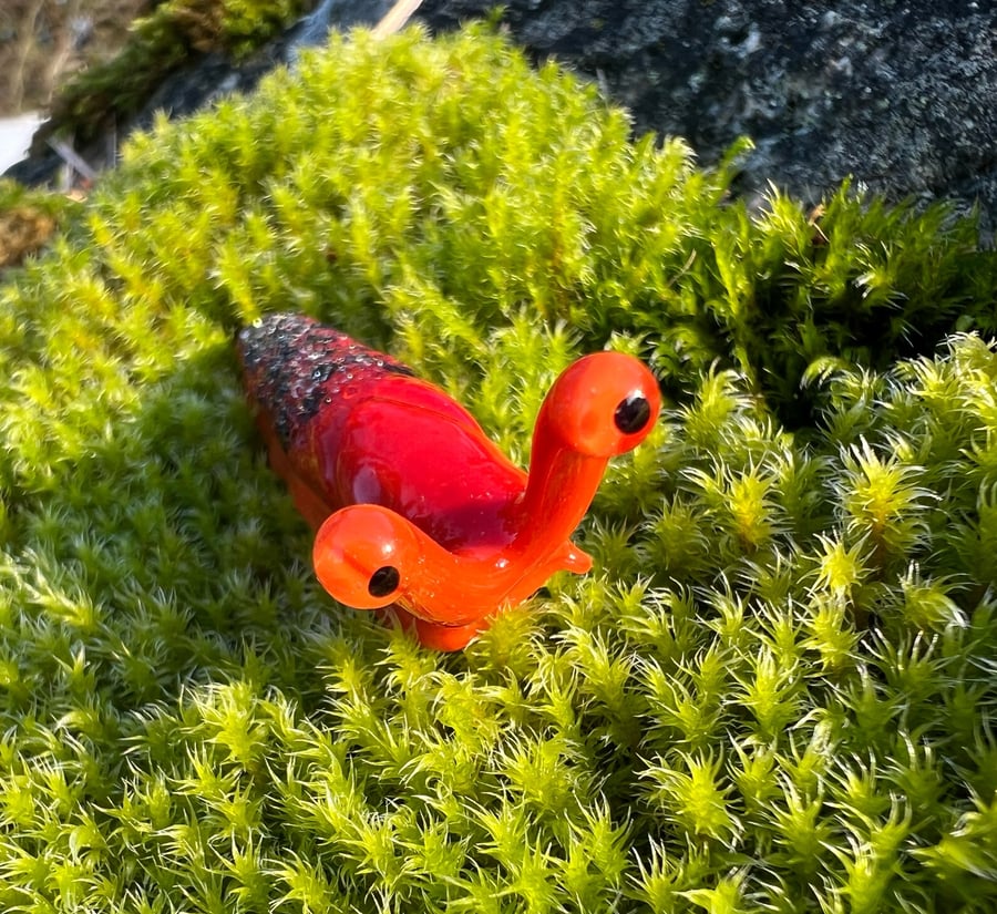 Image of Orange Boro Slug