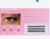 Image 5 of BEAUTY CREATIONS - CLUSTER LASHES