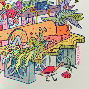 The Florist - Explorer of Living Wonders