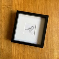 Framed Giclee - Robin