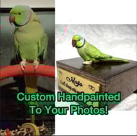 Image 3 of Handmade Custom Engraved Indian Ring Neck Parrot Urn Handpainted Pet Portrait