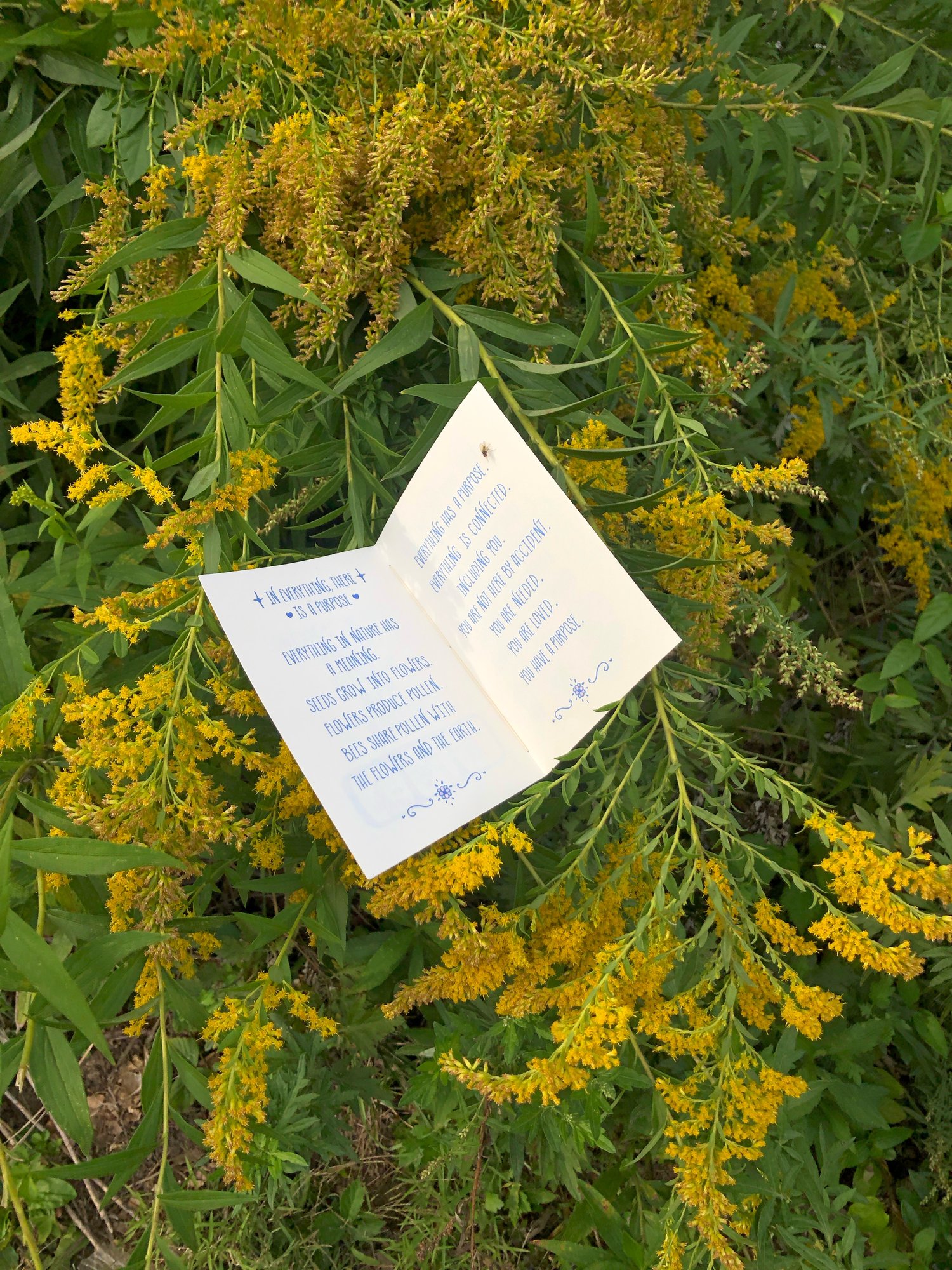 Image of We Have A Lot To Learn From Nature Zine 