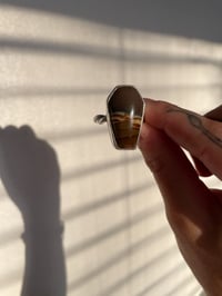 Image 2 of Jasper Coffin Ring