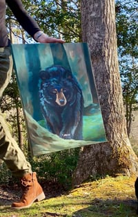 Image 2 of Black Bear in the Woods