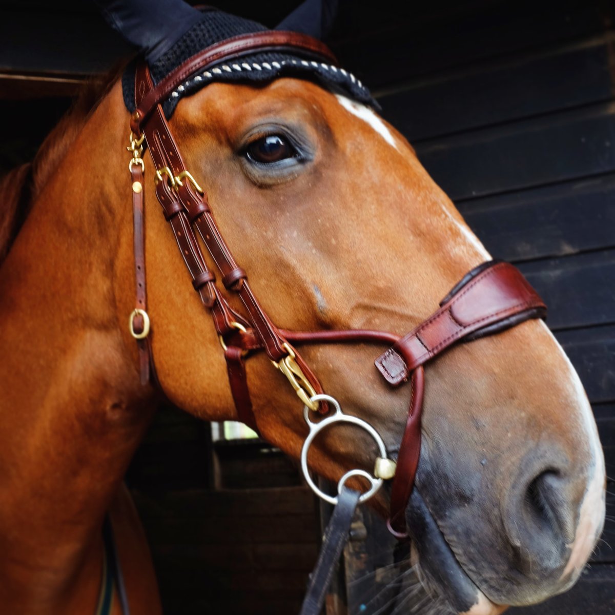 Image of Handmade Leather Bridle 