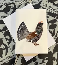 Image 2 of UK Birding Cards - Choose A Species