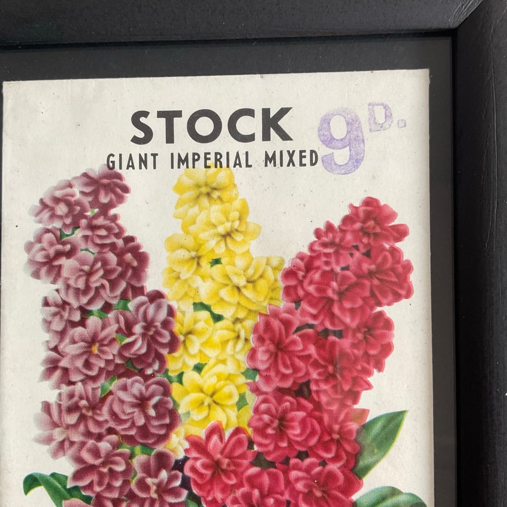 Image of Stock