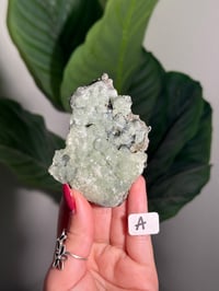 Image 1 of CHOOSE YOUR OWN BOWTIE PREHNITE -INDIA-