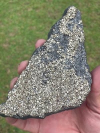 Image 4 of Shungite With Cubic Pyrite Double Sided Specimen #601