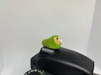 Image 3 of Kākāpō Hotshoe Cover