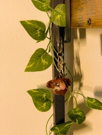 Image 1 of Moody The Cocoa swirl cow 