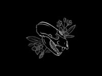 Image 1 of Vertebre capriolo -Riservato-