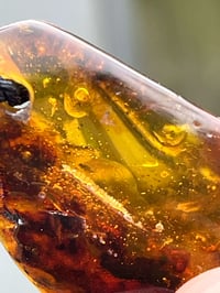 Image 4 of Ant and Sider trapped in Amber. 