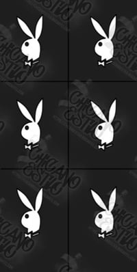 Playboy Bunny