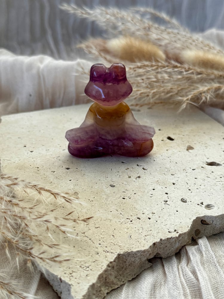 Image of Fluorite Frog Carving 