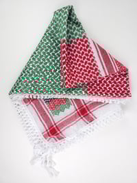 Image 4 of Palestine Flag Cotton Keffiyeh (Made in Jordan)