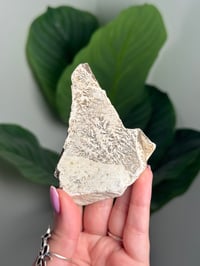 Image 1 of DENDRITIC FELDSPAR -ITALY- E