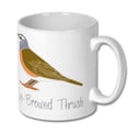 Eye-browed Thrush Mug - UK Birding Pins 
