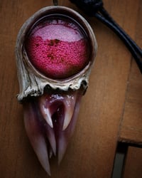 Image 19 of Crimson Oracle Snaggletooth Pendant OOAK