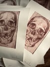 Gravure "Skull"