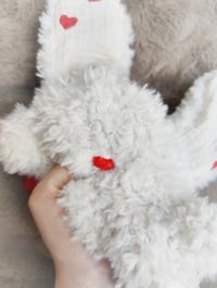 Image 3 of Inséparable Fluffy Cœurs d'amour ❤️
