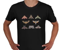 Image 5 of Hawk-moths Collage T-shirt
