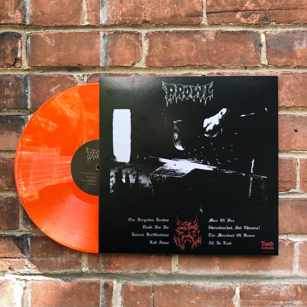 THE FORGOTTEN REALMS LP ORANGE VARIANT