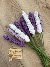 Image 1 of Lavender 