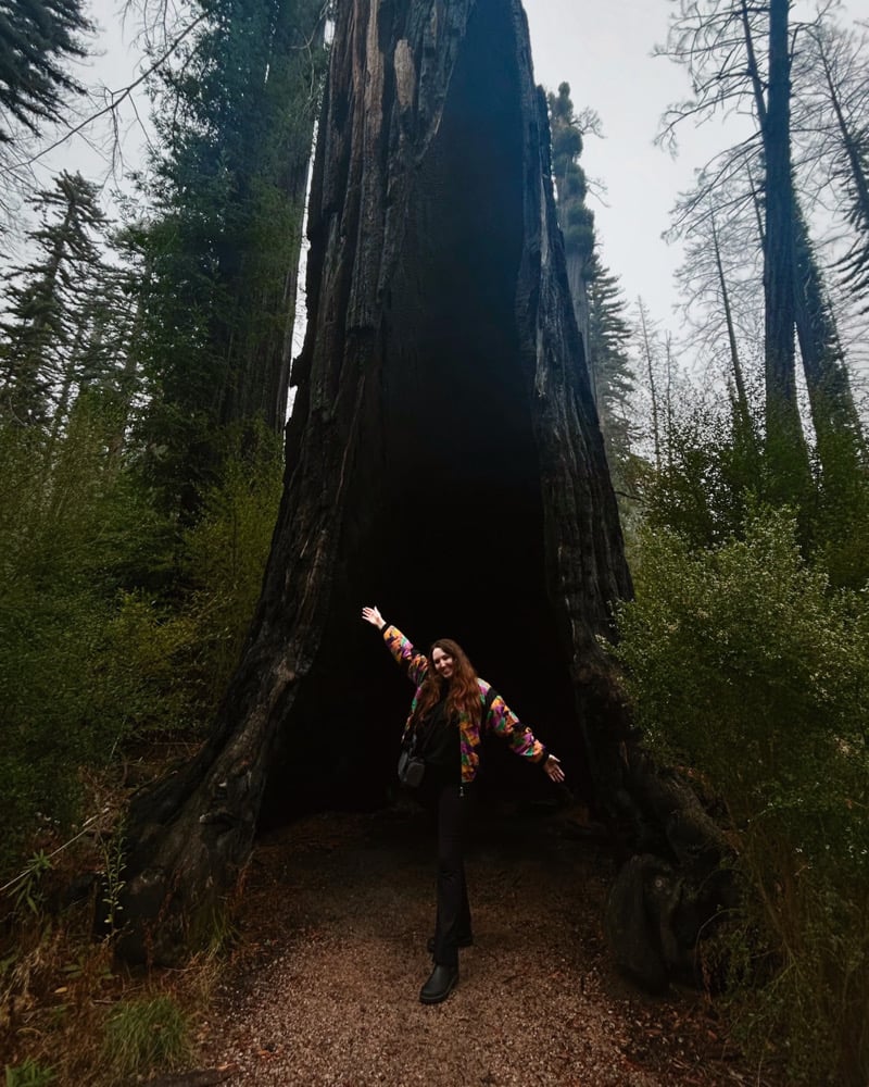 Image of Tip the Artist!