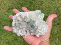 Image 6 of Green Apophyllite On Stilbite Specimen #1837