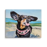 Image 4 of Dachshund in the wind
