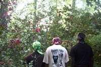 Image 2 of Satin Lined Bandanas