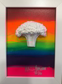 Pride 4 small broccoli 