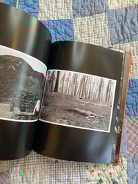 Image 7 of Moon Dust, Robert LeBlanc, 2021.