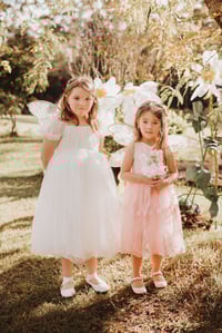 Image 17 of Flutters