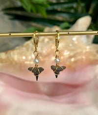 Shark tooth Earrings E136