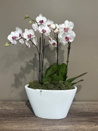 Image 2 of On a Boat