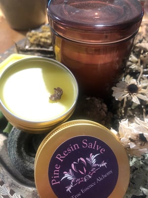 Image of Pine Resin Salve