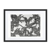 Image 3 of Framed poster of Monachopsis