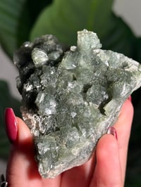 Image 3 of BOWTIE PREHNITE -INDIA- H
