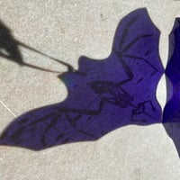 Image 3 of Bat Skeletons