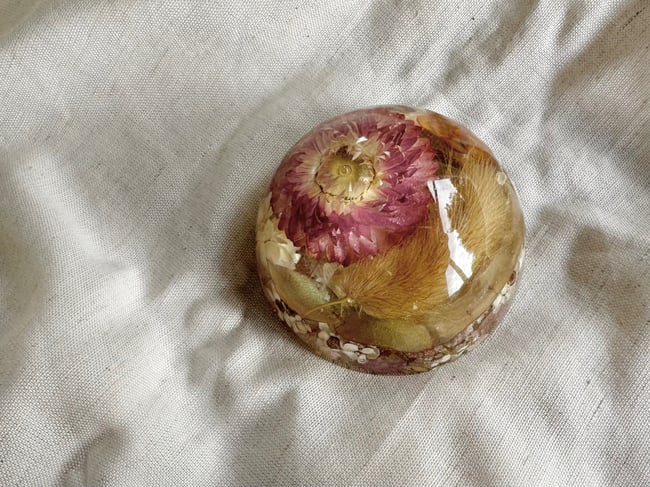 Flower Dome - Straw Flower, Bunny Tail & Natives